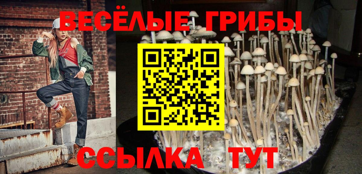 Воронеж  Псилоцибиновые грибы мухоморы  Вход с VPN 