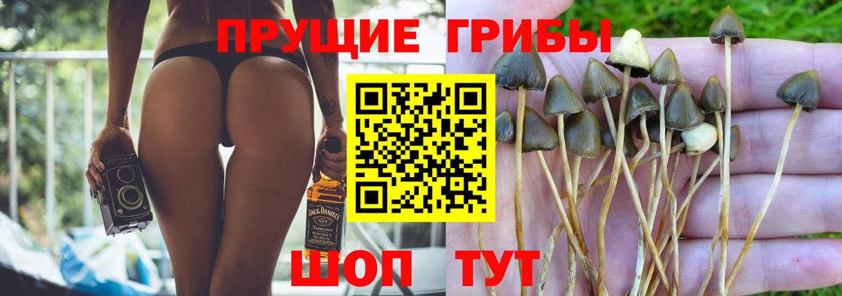 Псилоцибиновые грибы GOLDEN TEACHER Воронеж